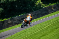 PJ-Motorsport-Photography-2020;anglesey;brands-hatch;cadwell-park;croft;donington-park;enduro-digital-images;event-digital-images;eventdigitalimages;mallory;no-limits;oulton-park;peter-wileman-photography;racing-digital-images;silverstone;snetterton;trackday-digital-images;trackday-photos;vmcc-banbury-run;welsh-2-day-enduro